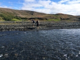 iceland-016